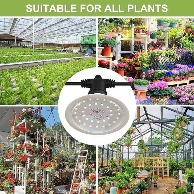 Outdoor Grow Lights for Plants, Full Spectrum Greenhouse Grow Light, Waterproof String Grow Light
