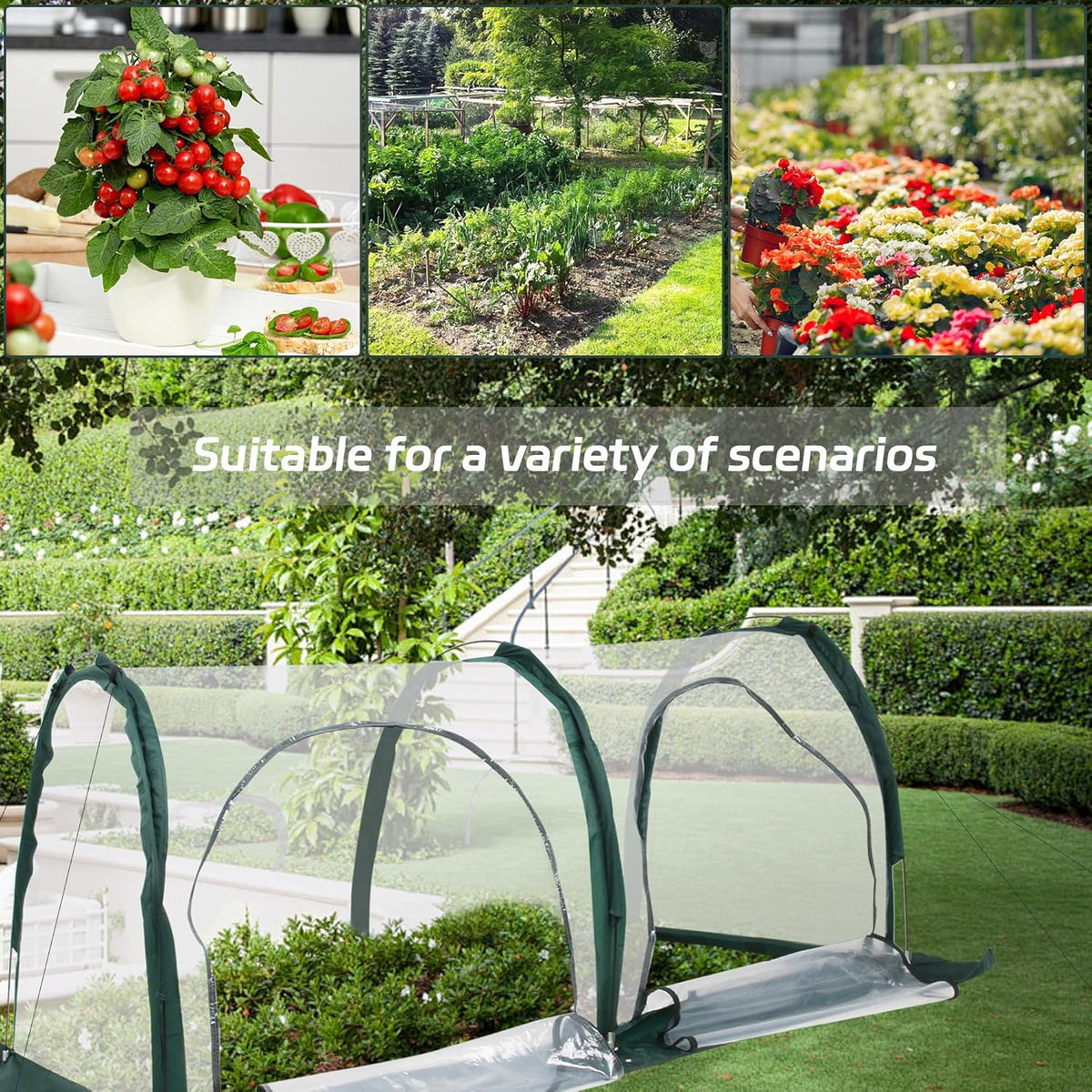 Portable Tunnel Greenhouse for Outdoors - Transparent Mini Greenhouses Ideal for Backyards and