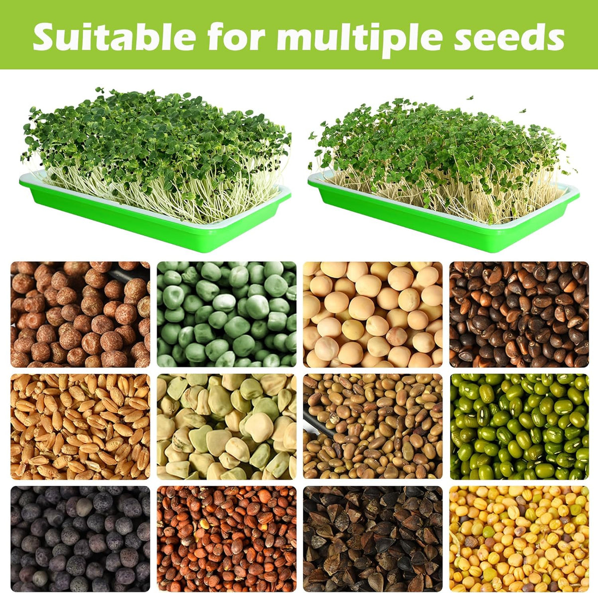 EBaokuup 5 Pcs Seed Sprouter Tray with Drain Holes - BPA Free Seed Germination Propagation Trays