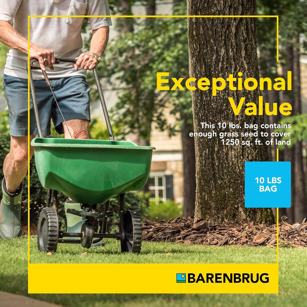 Barenbrug Wonderlawn Quicklawn Grass Seed Mix for Lawn Care and Landscaping, 10 lbs. Bag