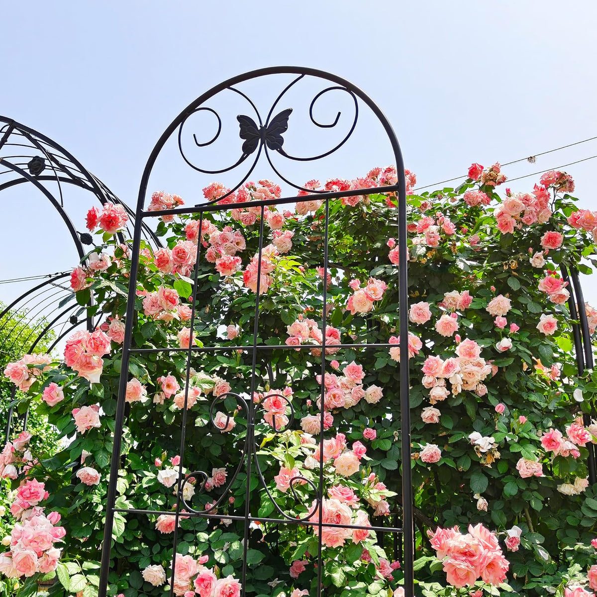 2 Pack Garden Trellises with Black Metal Coating, Trellis for Climbing Plants Outdoor, Roses