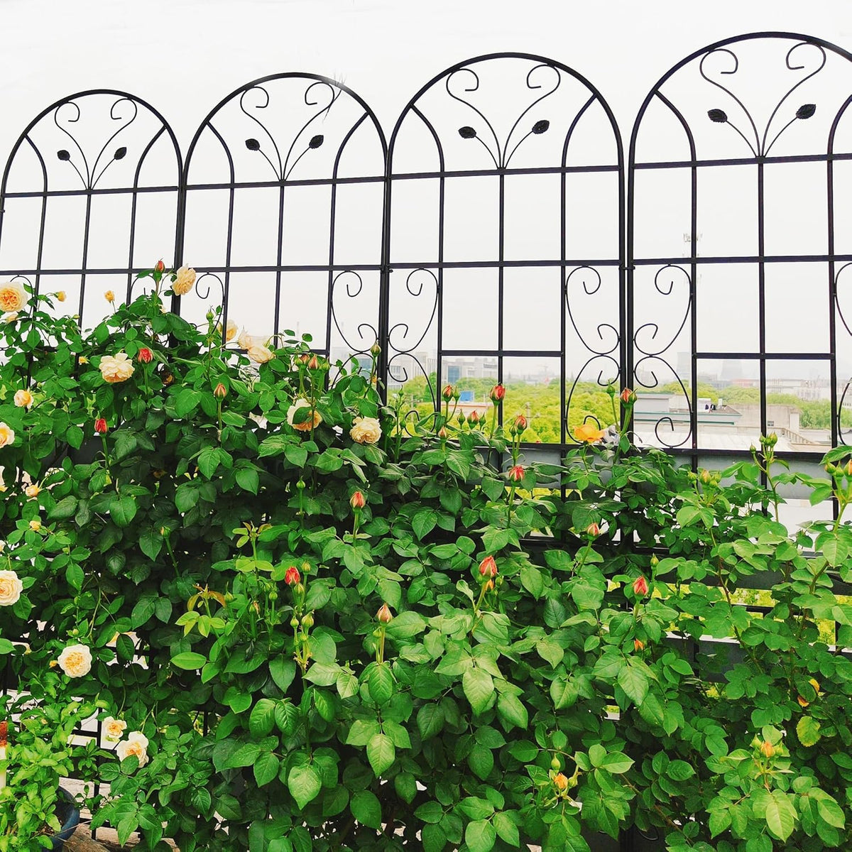 6 Pack Metal Garden Trellis 86.7" Tall Outdoor Climbing Plant Support for Roses, Flowers, Rustproof