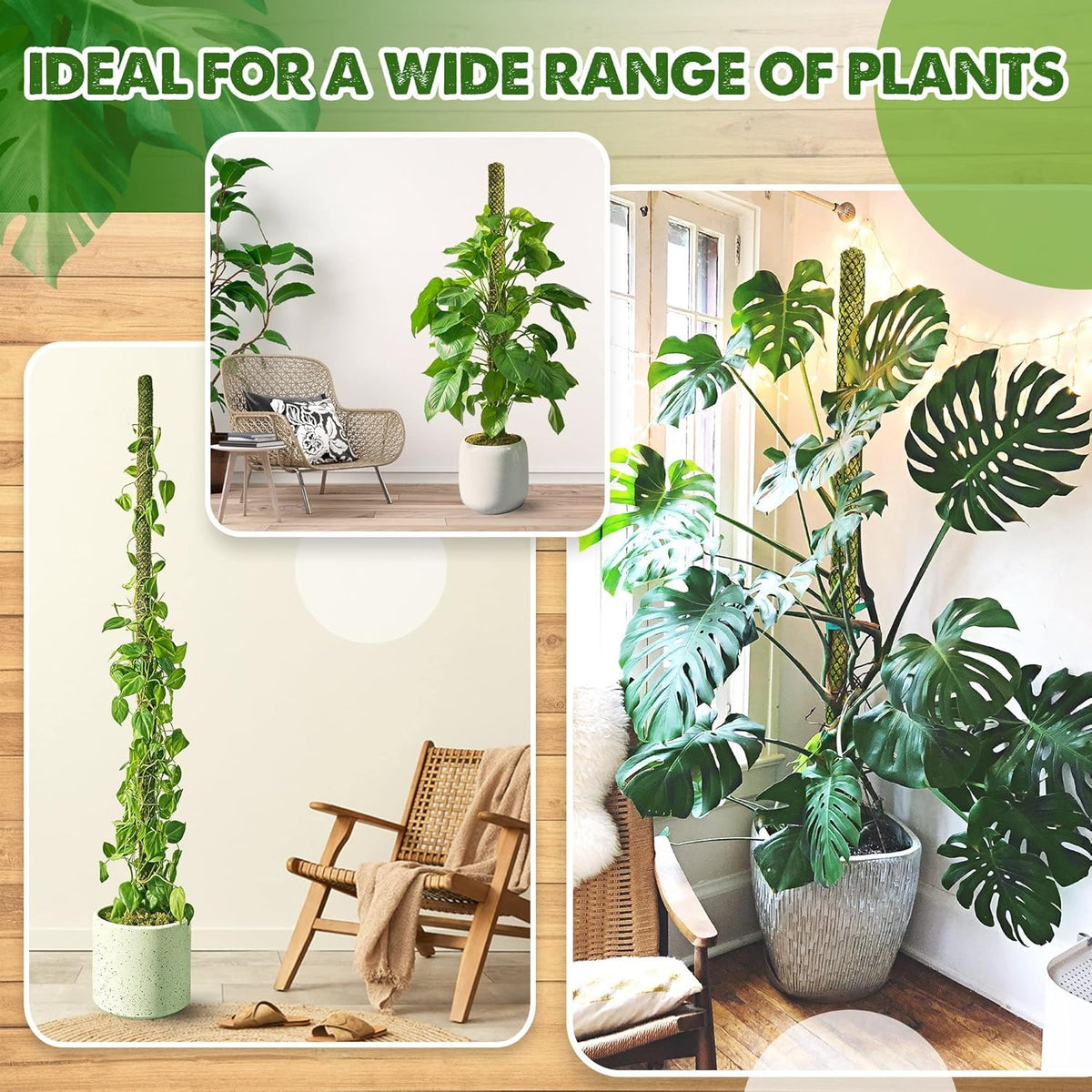 DUSPRO Stackable Mesh Moss Pole for Plants Monstera Potted Plant Stakes for Indoor Plants
