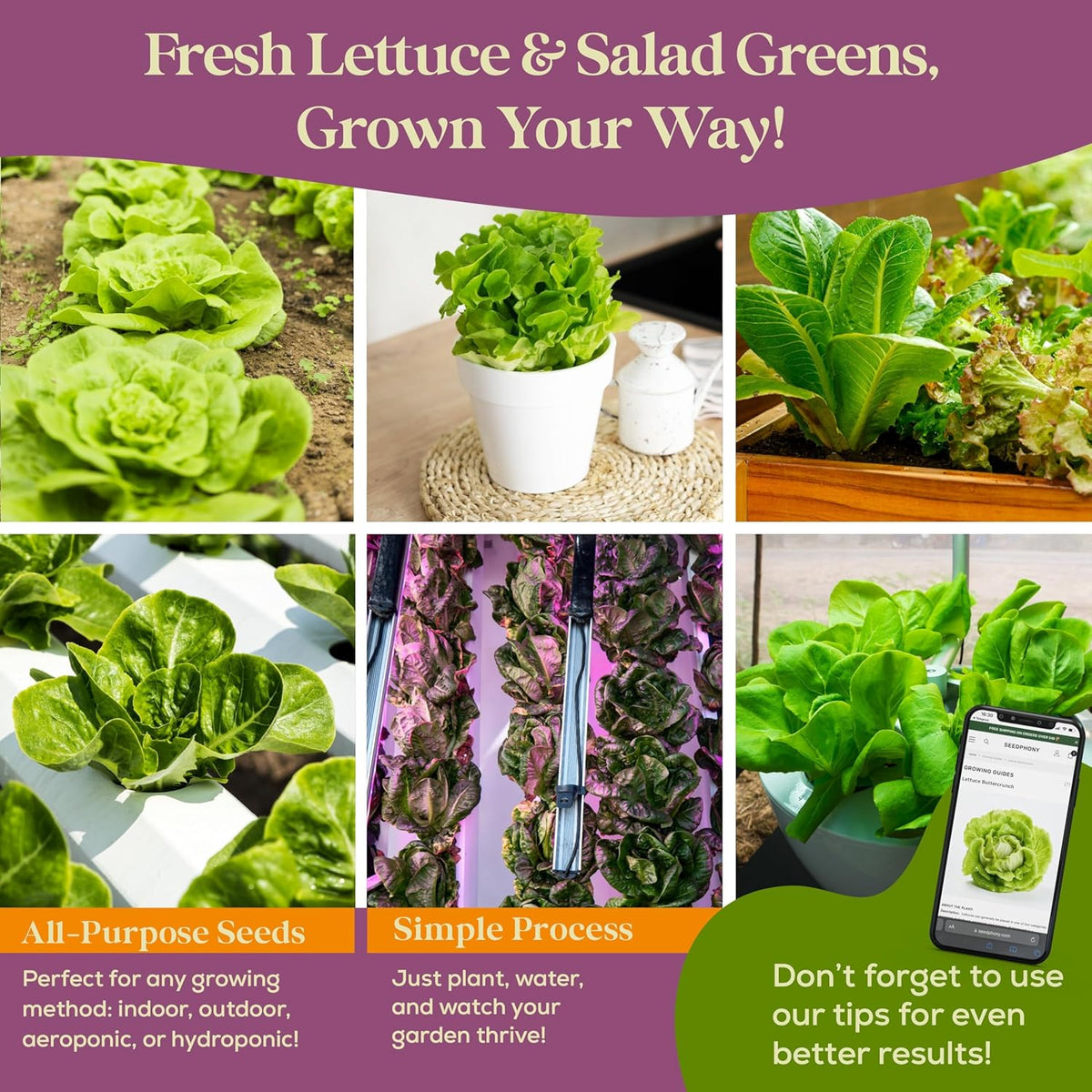 23 Lettuce & Salad Greens Seeds Variety Pack - 25,000+ Non-GMO Heirloom Greens Seeds for Planting
