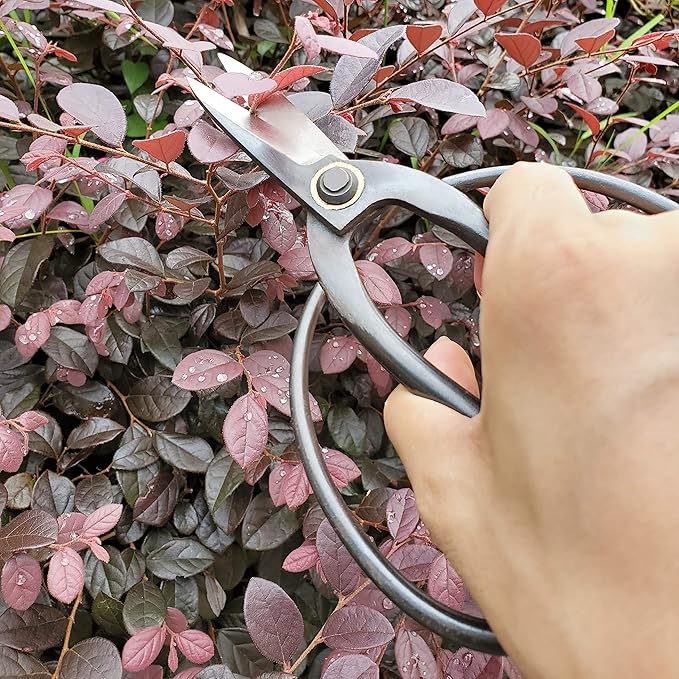 gonicc Professional 7.3" Bonsai Scissors(GPPS-1012), For Arranging Flowers, Trimming Plants, For