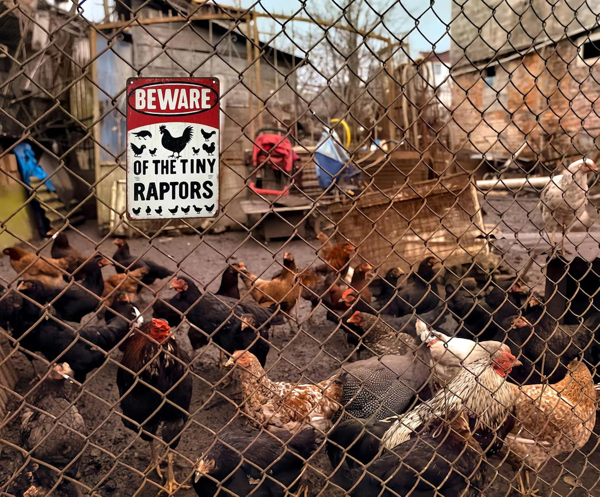 Funny Gifts for Women Chicken Lovers Farm Enthusiasts Beware of The Tiny Raptor Chicken Tin Sign