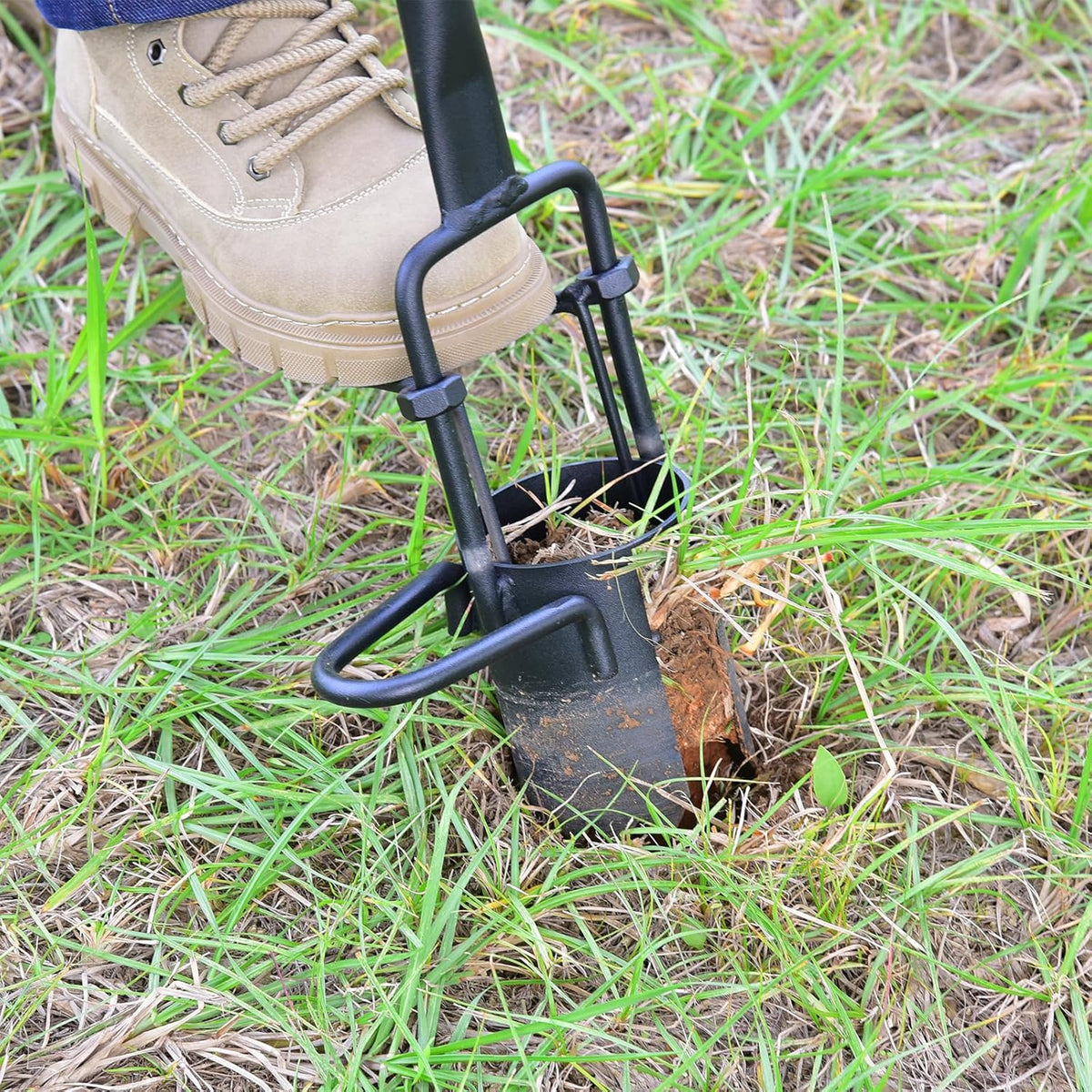 Sod Plugger, Bulb Planter with Long Handle and Serrated Base Garden Tool, Bulb Transplanter Also