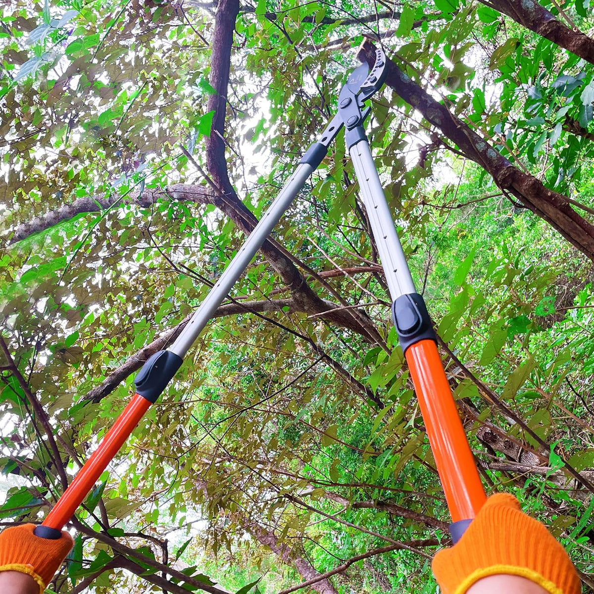 Loppers for Tree Trimming Heavy Duty, 26-40 Inch Handle Telescopic Tree Trimmer, Sync Drive Power