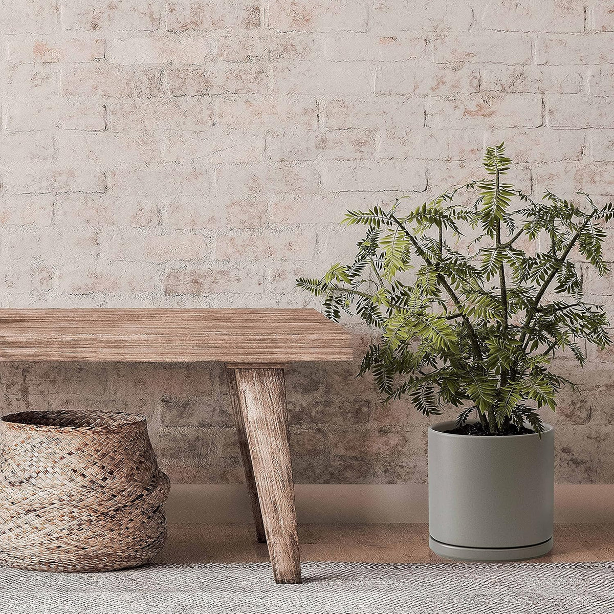 D'vine Dev 8 Inch Ceramic Planter Pot with Drainage Hole and Saucer, Indoor Cylinder Round Planter