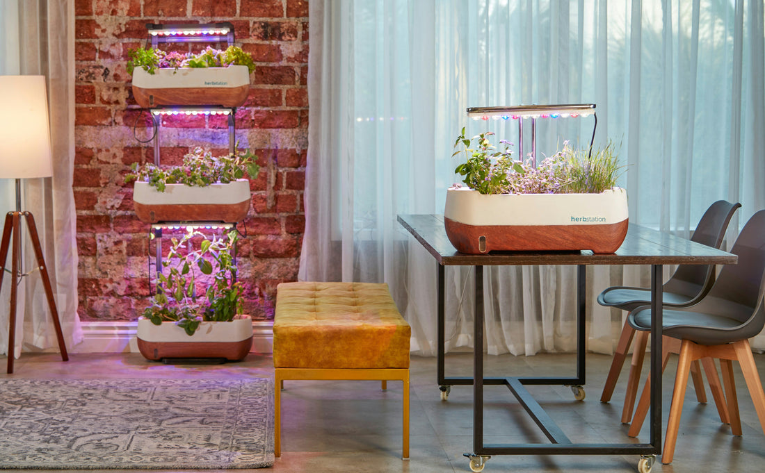 The Ultimate Guide to Indoor Grow Lights for Beginners
