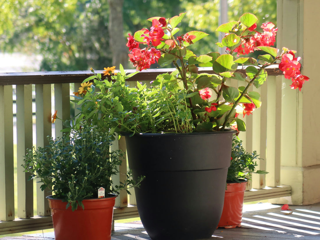 Durable and Lightweight: Choosing Plastic & Resin Planters