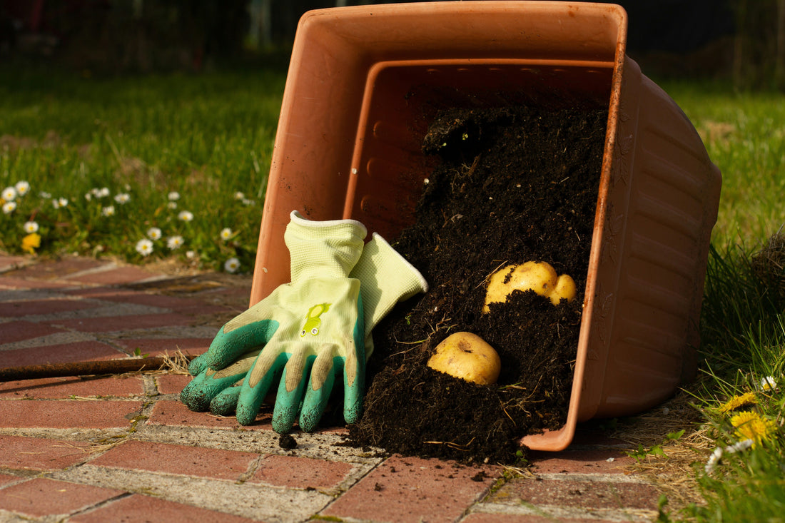 🌱 Building Healthy Soil with Compost