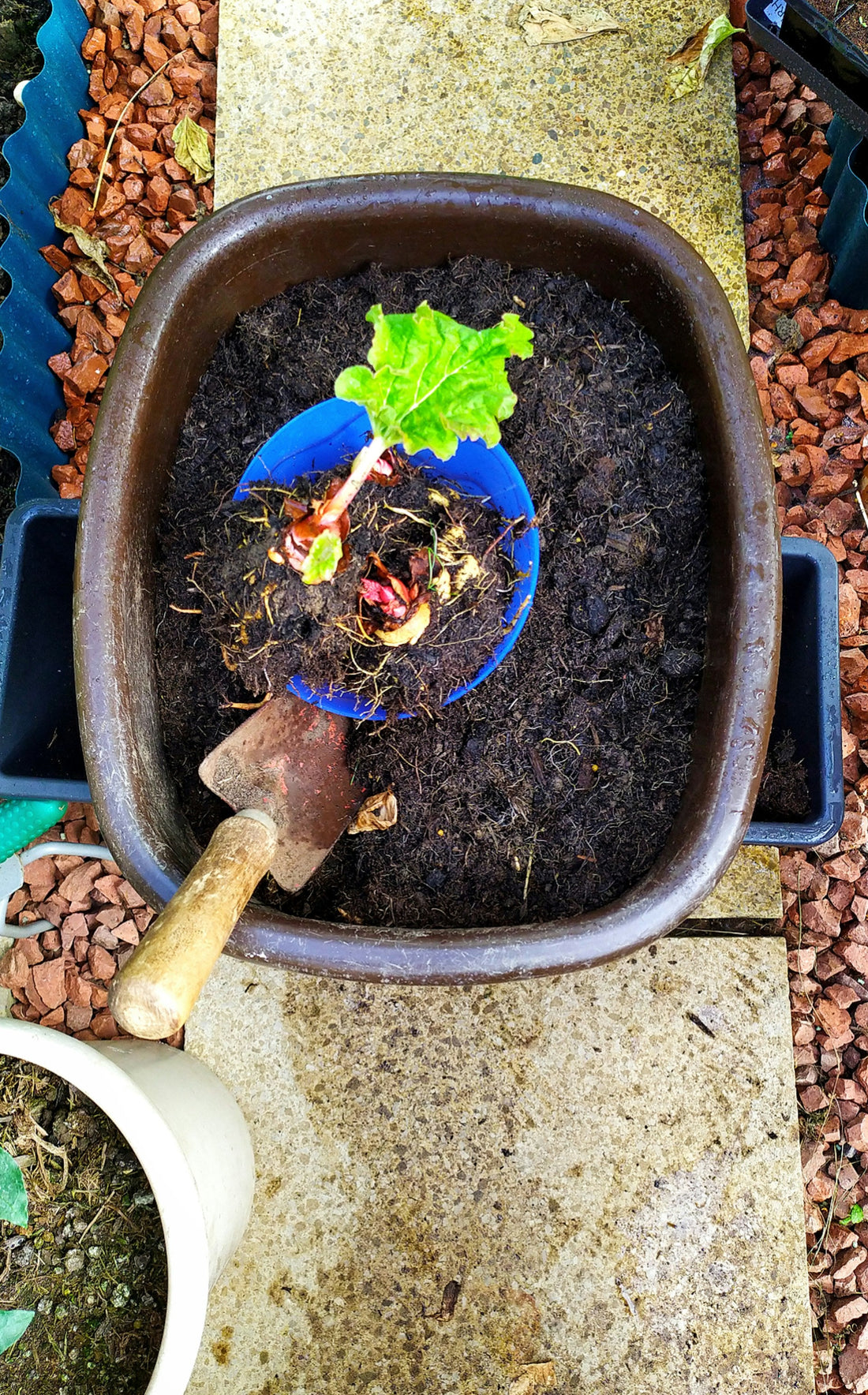Eco-Friendly Gardening Tips for Beginners