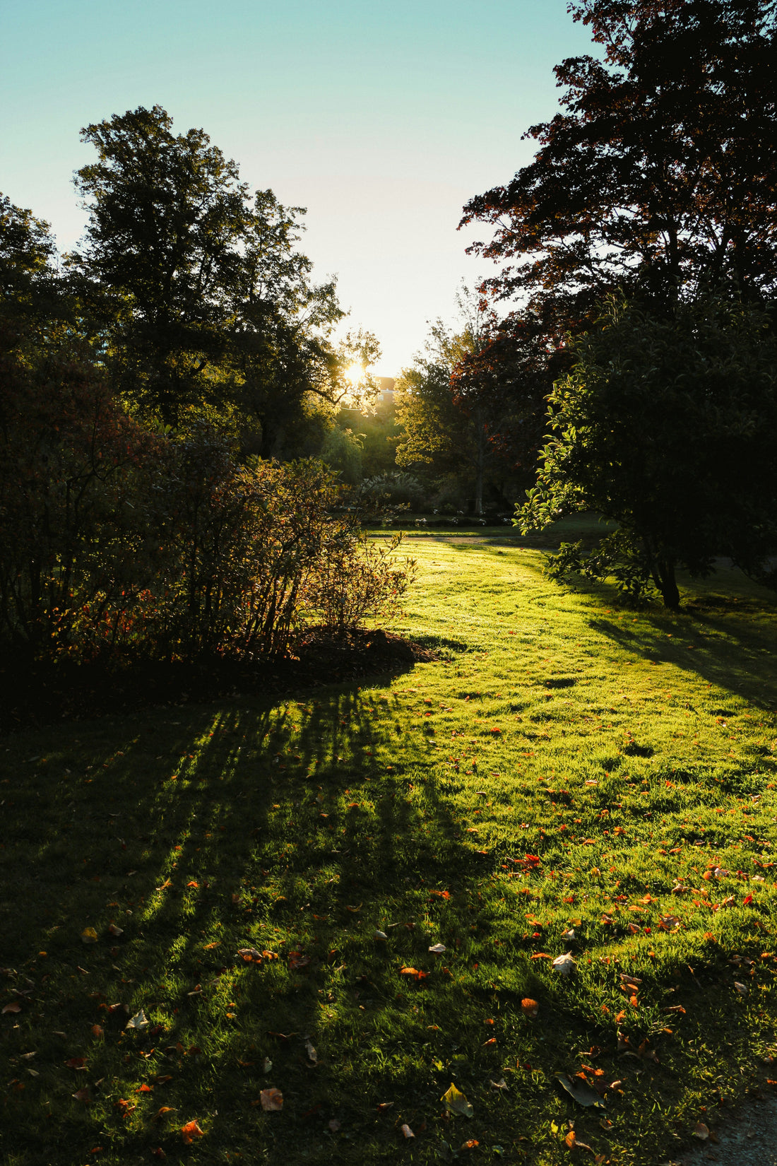 Let the Evening Glow: A Gentle Invitation to Slow Outdoor Living