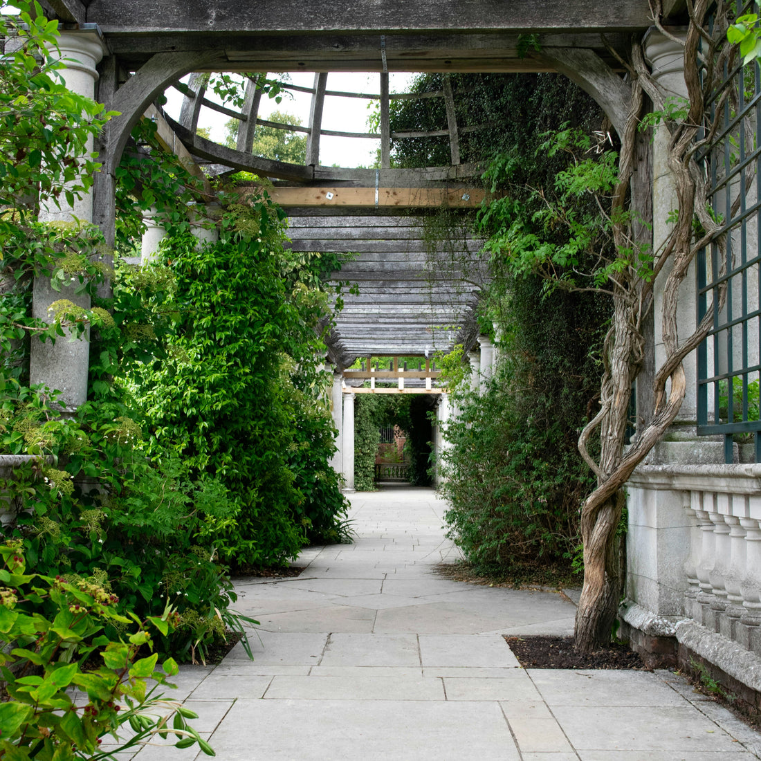 Affordable Garden Upgrades That Look Expensive