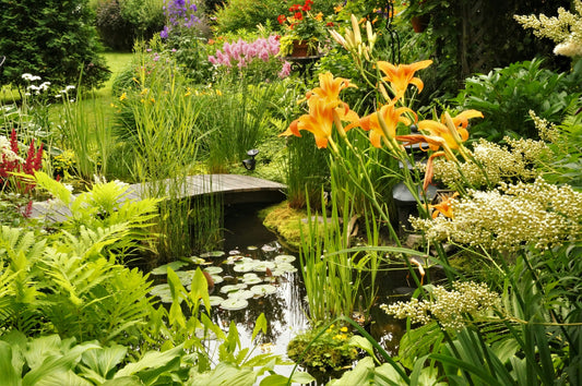 Building a Beautiful Garden That Requires Less Work