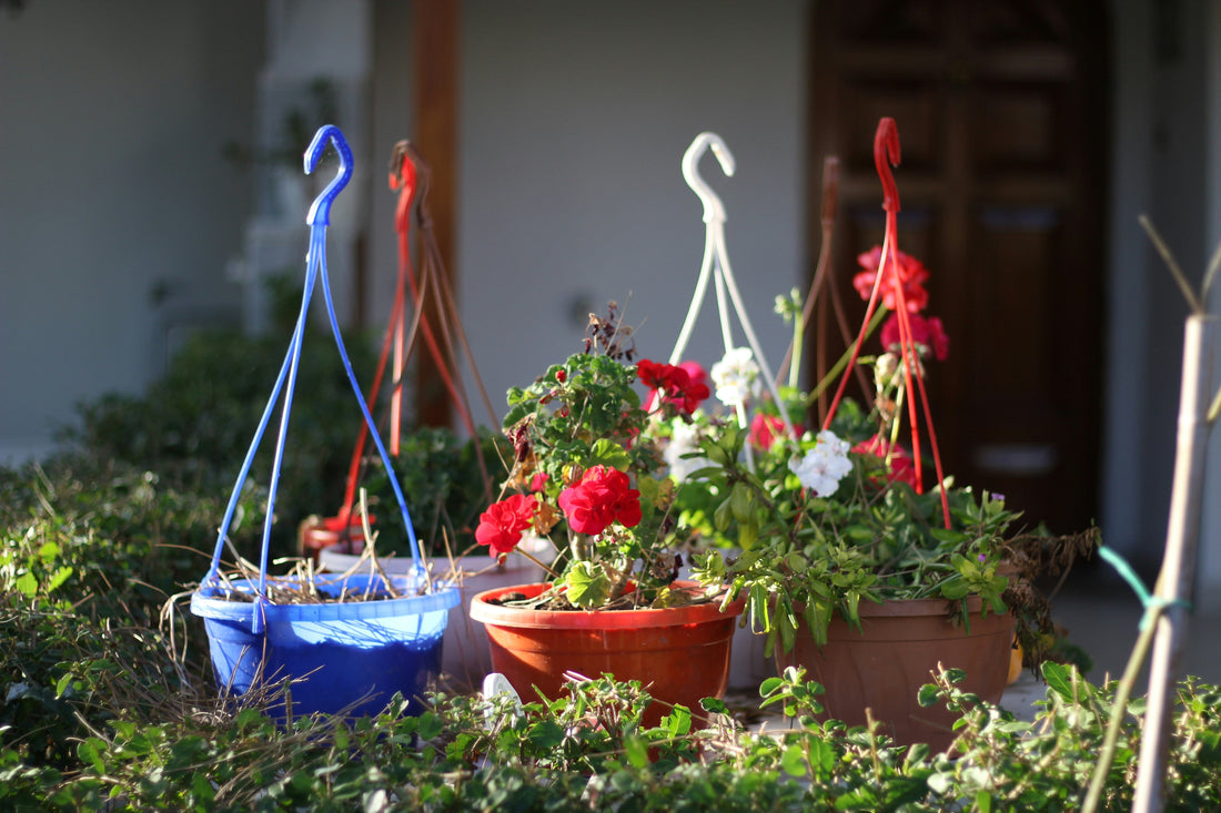 Perfect Garden Gift Ideas for Nature Lovers