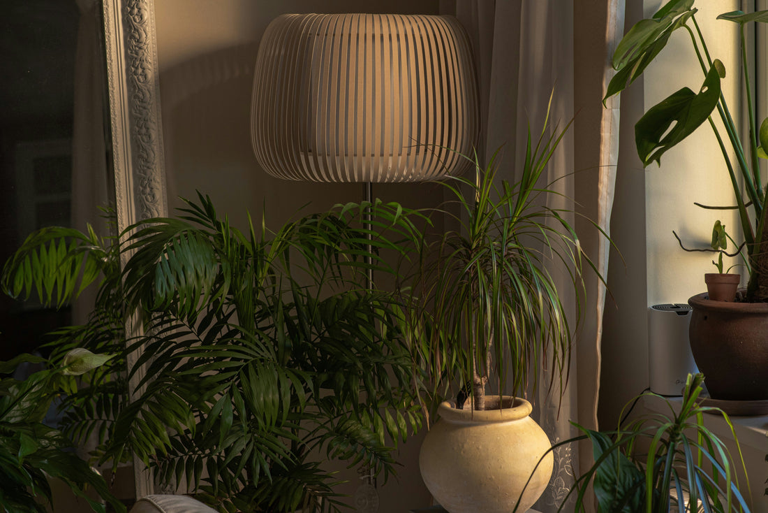 How to Use Grow Lights for Maximum Plant Growth