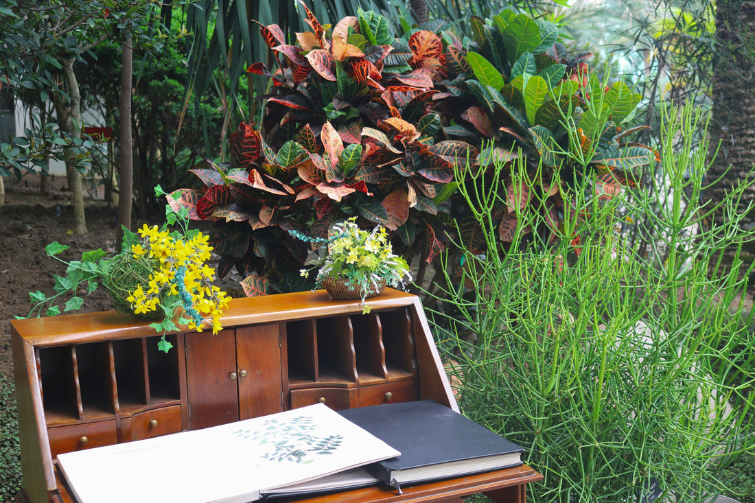 Styling Your Patio with Decorative Planters