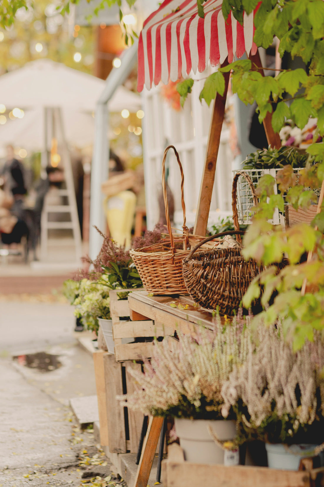 Balcony Garden Styling Tips You Need to Try