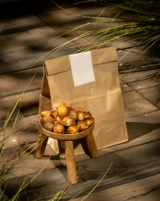 Halloween Garden Decor Spotlight: Weather-Ready Accents for October