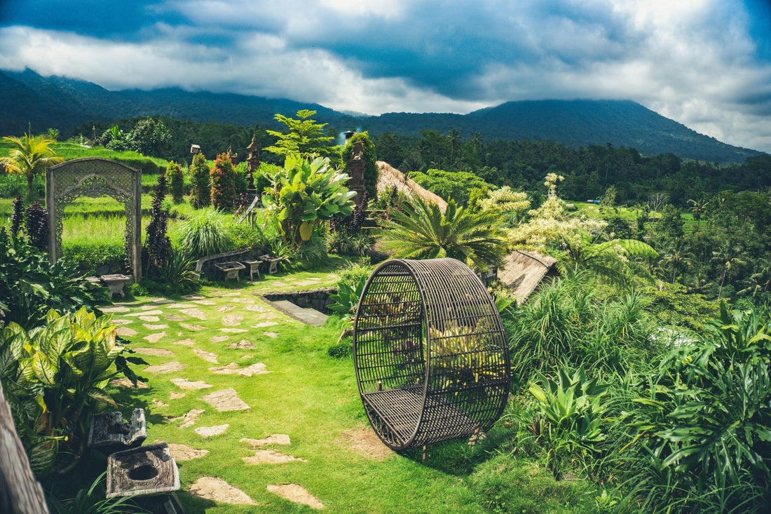 How to Prepare Your Garden for Spring Planting