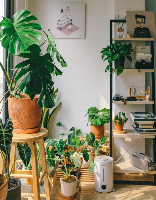 The Joy of Gardening: Why It Changes Your Life