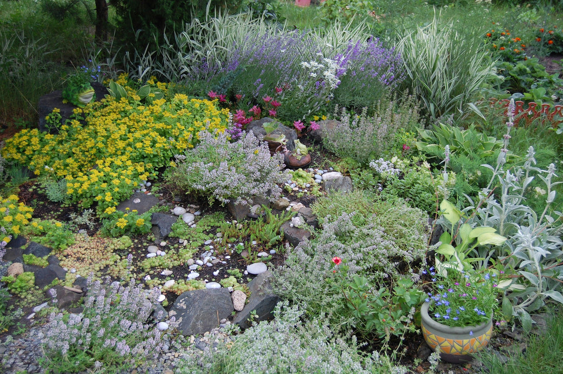 Keeping Your Garden Fresh All Summer Long
