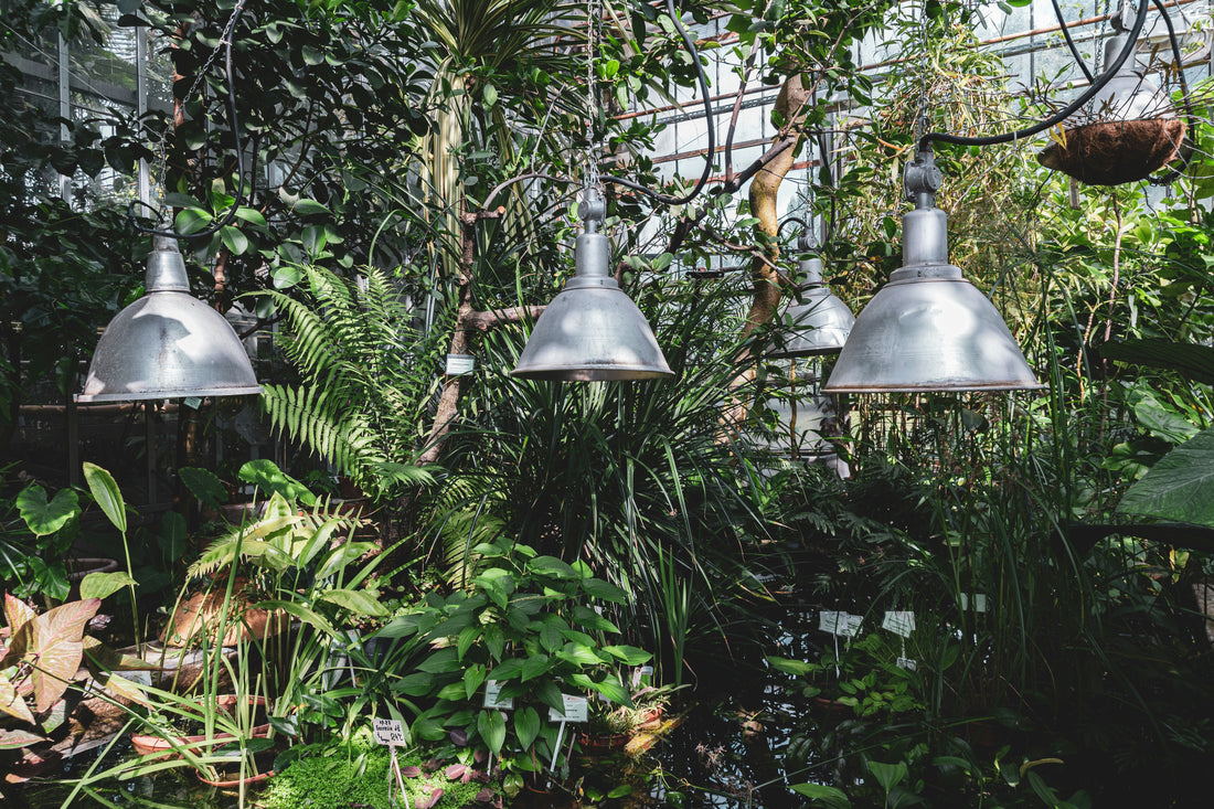 Do You Really Need a Greenhouse Cover? Here’s the Truth