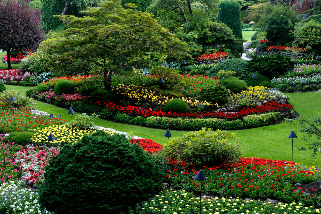 The Ultimate Guide to Garden Landscaping for Beginners