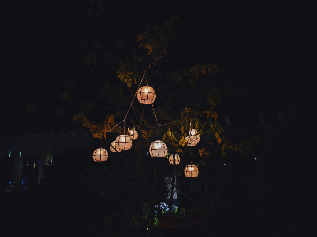 Softly Lit Pathways: Evening Garden Walks and the Beauty of Slow Movement