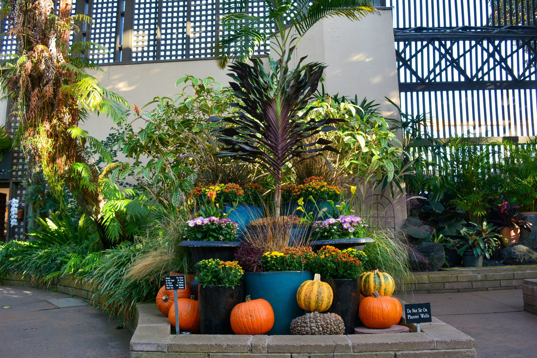 Fall Garden Decor Ideas to Celebrate the Season