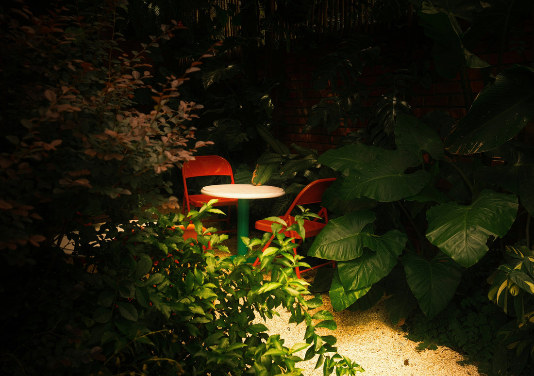 Let the Garden Breathe: Creating Space, Not Stimulation, After Sunset