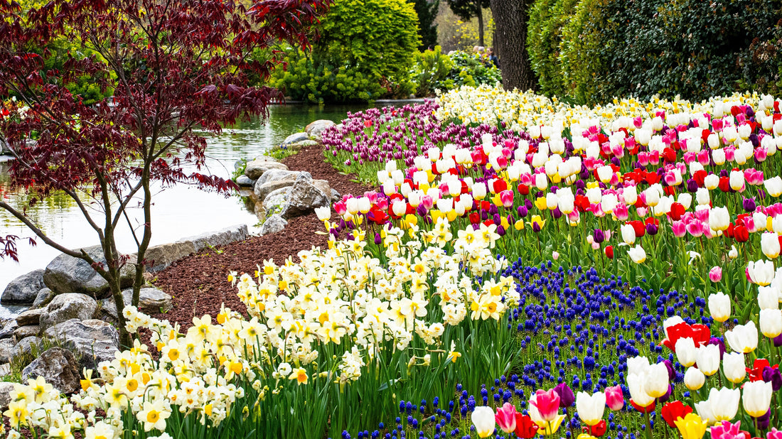 The Importance of Proper Garden Drainage