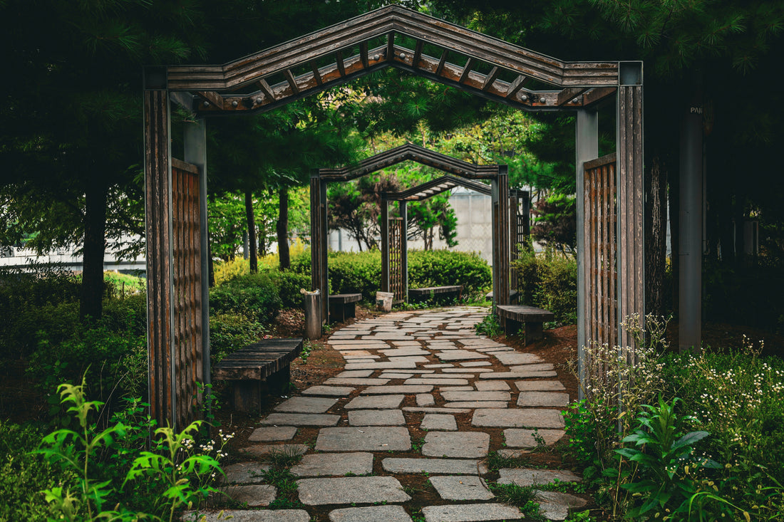 How to Create Defined Lawn and Garden Boundaries