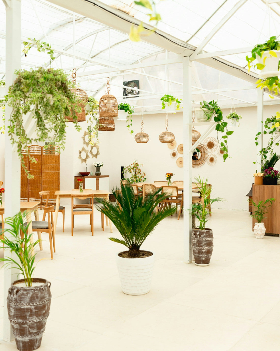 Garden Trends You Should Try Right Now 2026