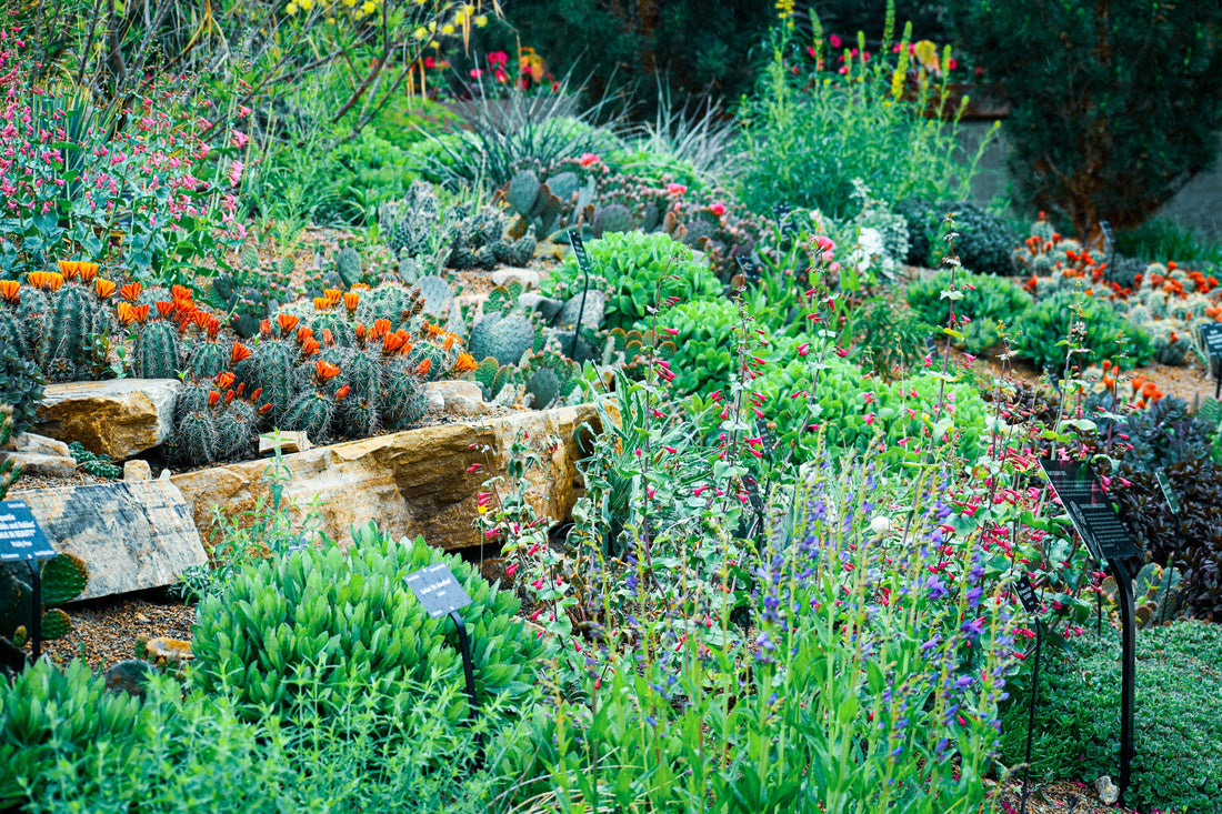 Seasonal Garden Maintenance Checklist for Homeowners