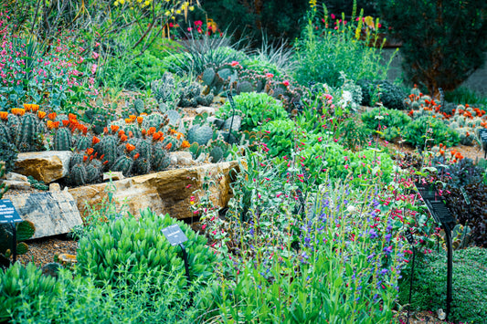 Seasonal Garden Maintenance Checklist for Homeowners