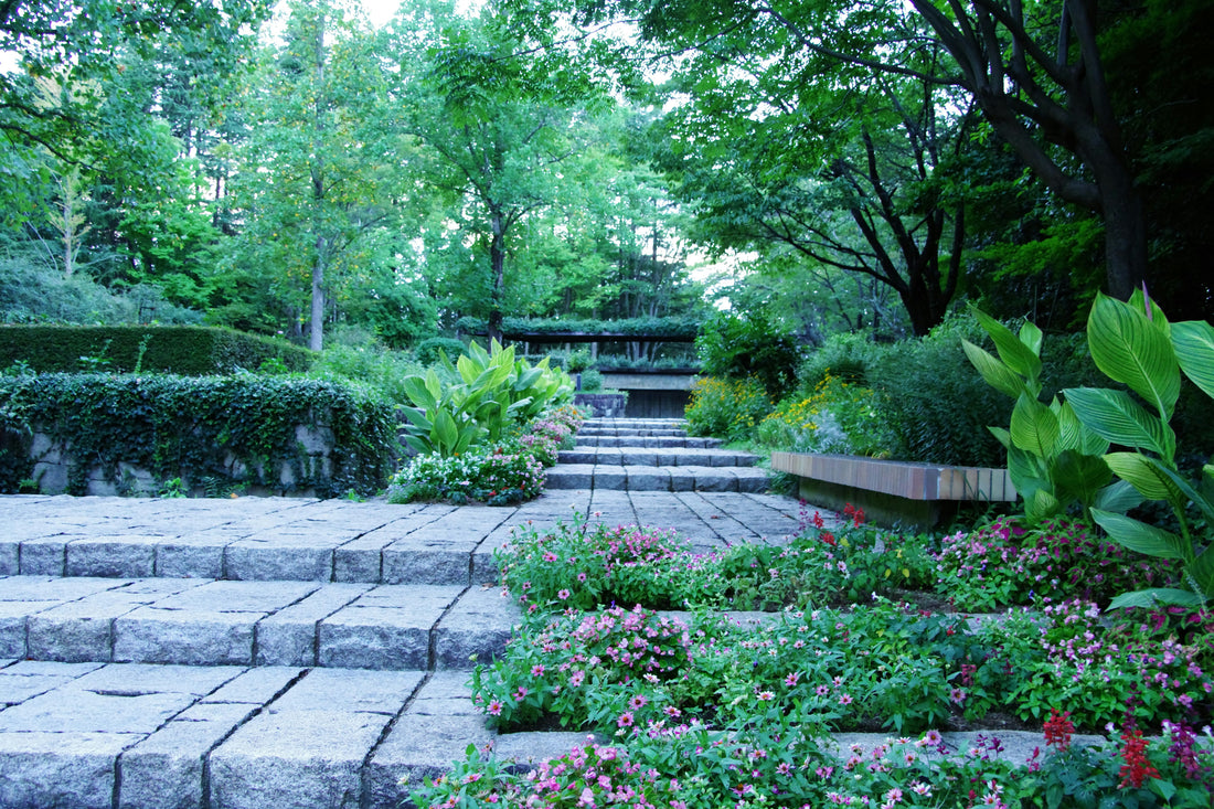 Top Garden Organization Tips for a Cleaner Outdoor Space