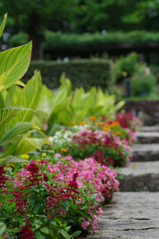 Choosing the Best Materials for Garden Borders