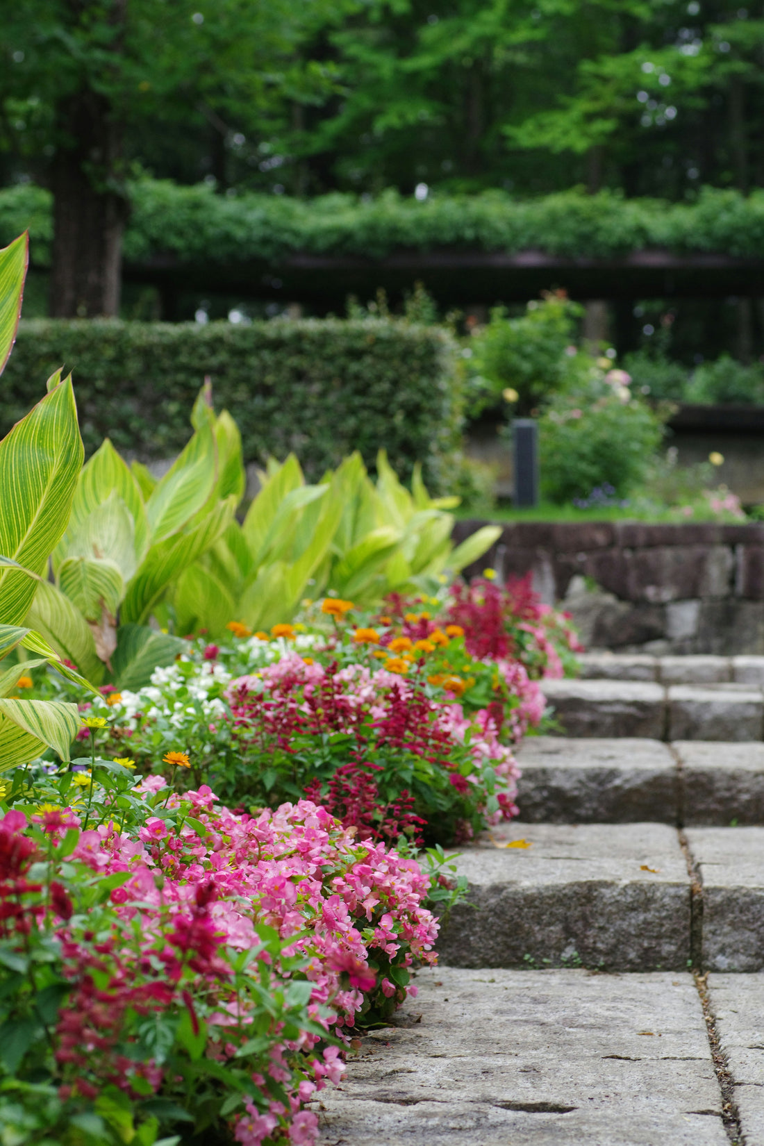 Garden Edging Mistakes to Avoid