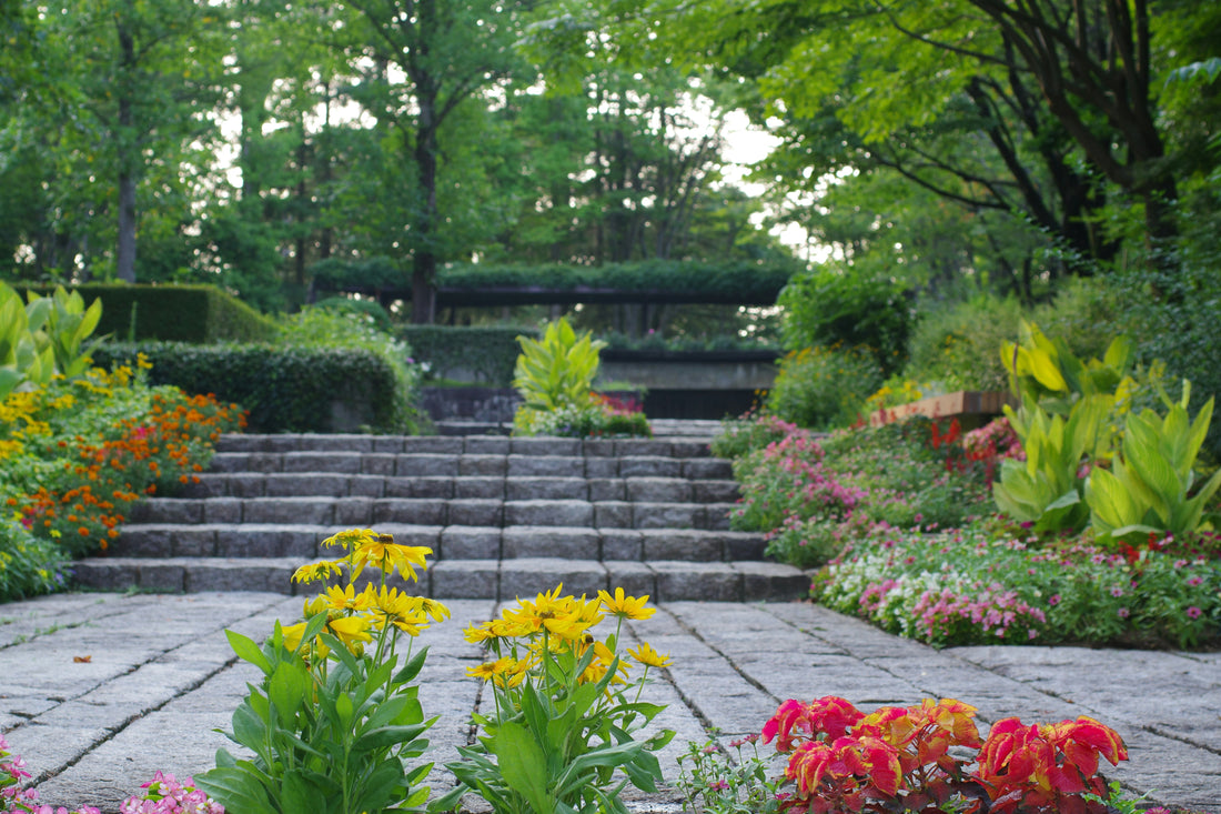 Mulching Basics: Benefits and Best Practices