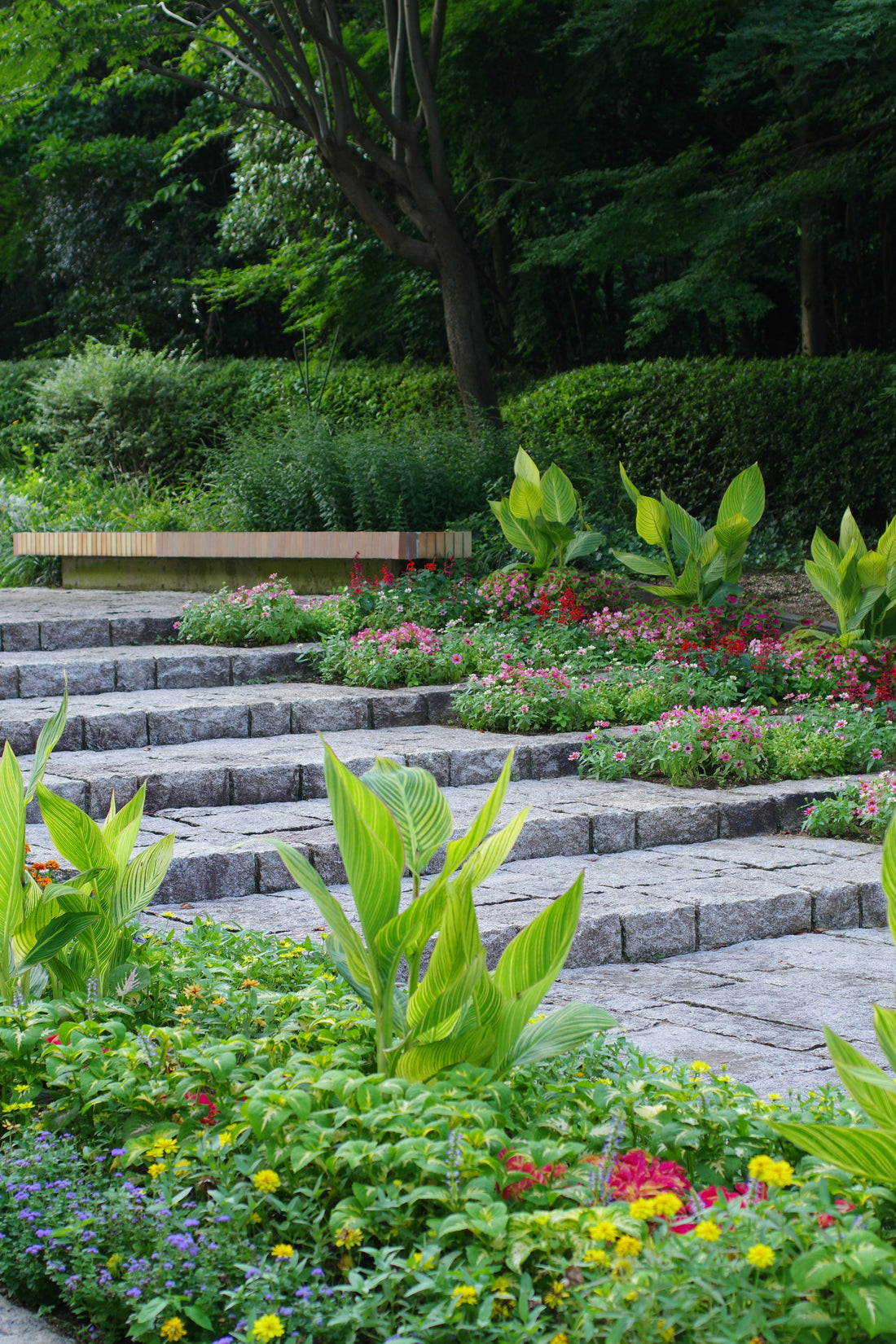 The Benefits of Curved Landscape Edging Designs