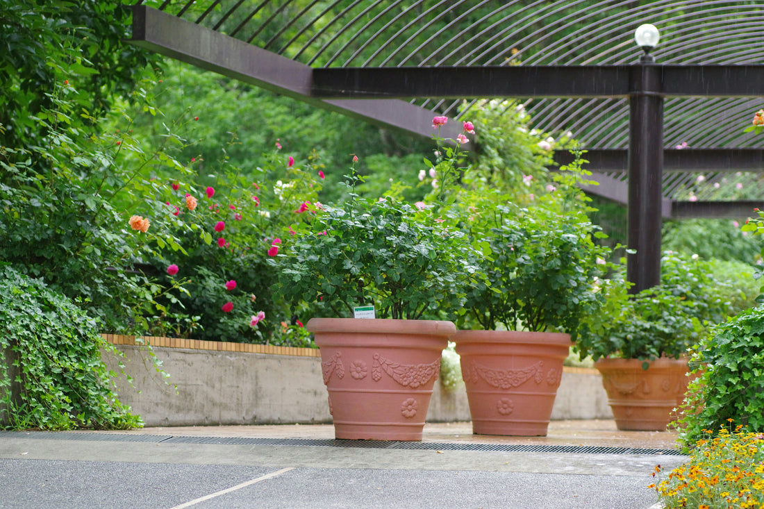 Raised Planter Ideas for Compact Yards 🌱🪴