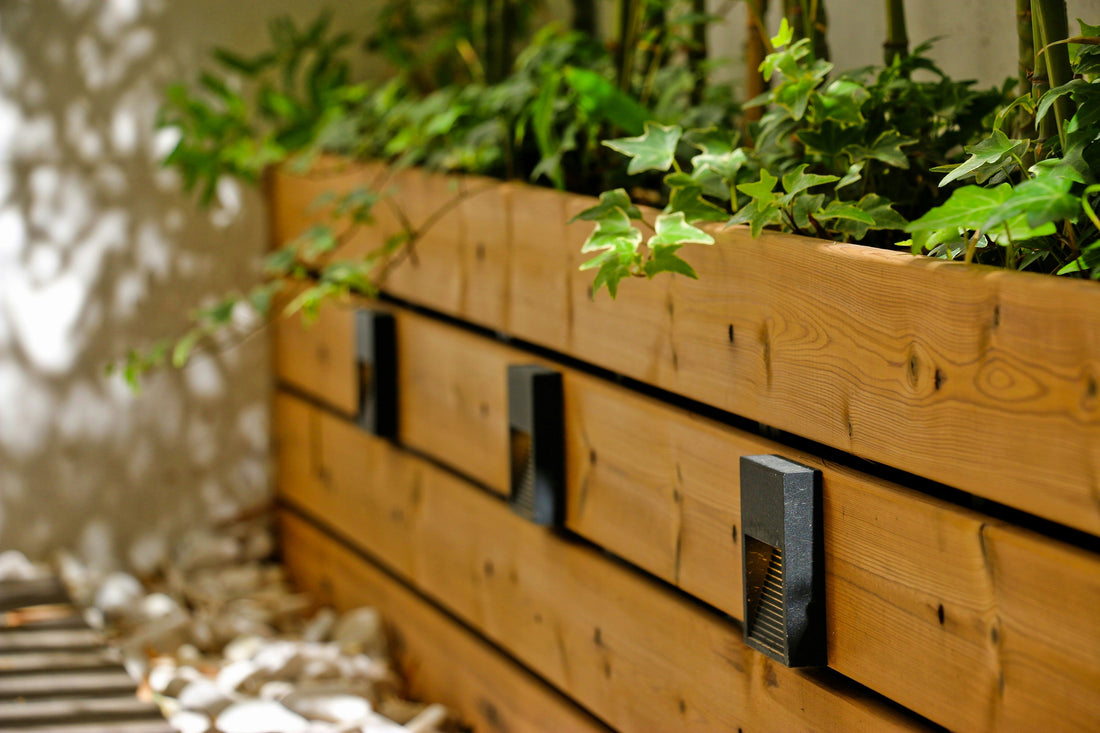 Small Space Garden Design Tips 🏡🌱