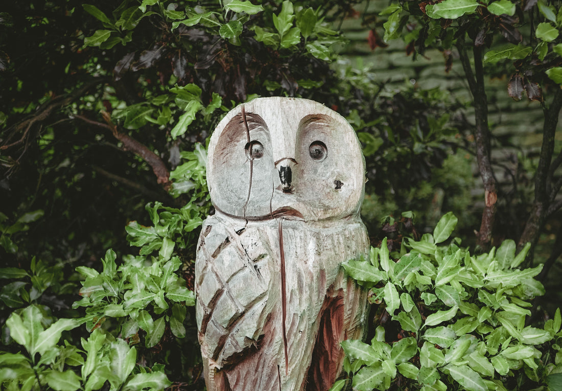 Owl Decoy Buying Guide: Do Fake Predators Actually Deter Birds