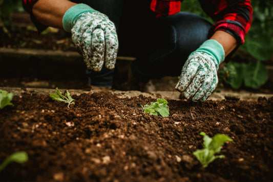 Hand Trowel and Weeder Buying Guide: Matching Tool to Task