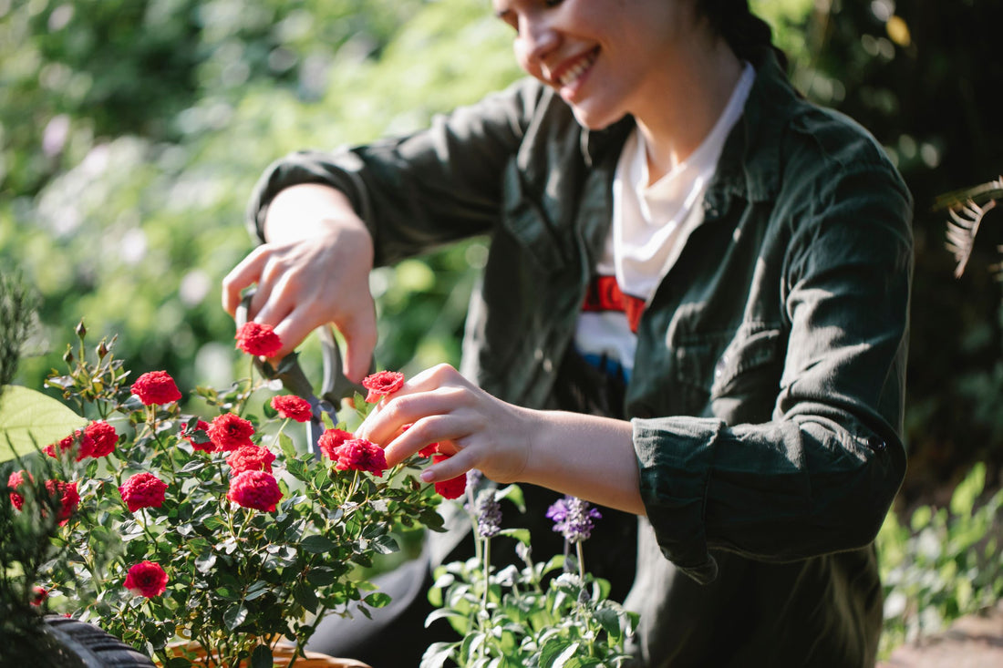 Pruning Shears Buying Guide: Steel vs. Titanium vs. Swiss-Made