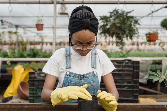 Garden Tool Set Buying Guide: What a Soil Moisture Meter Adds