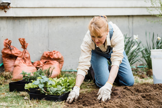 Garden Kneeler Buying Guide: Foldable Bench vs. Kneeling Pad